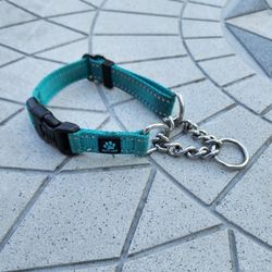 Max and Neo Stainless Steel Chain Reflective Nylon Martingale Collar
