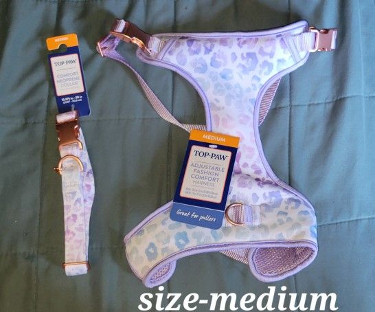 Different Dog Harnesses & Leashes