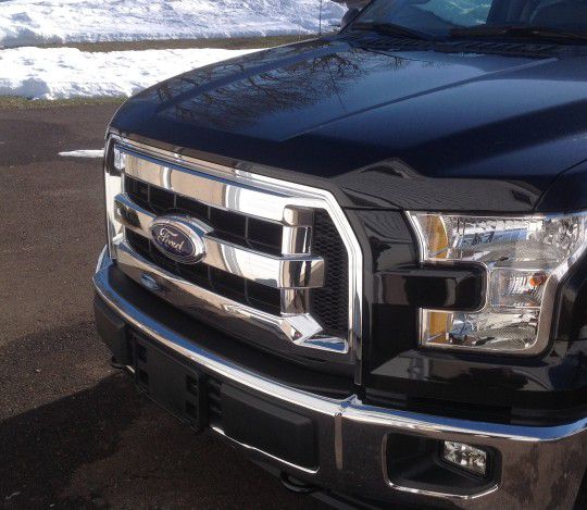 Ford F150 Grill