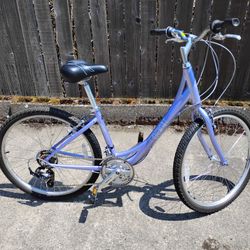 Ladies 21 Speed Cruiser
