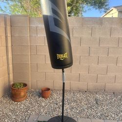 Everlast Punching Bag