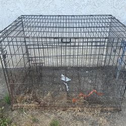 Dog Cage 