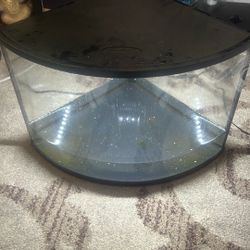 Fish Tank 20$ Firm 