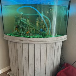 50 Gallon Corner Fish Tank.