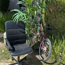 FREE curb Alert, A Bike, A Plant, Chair  