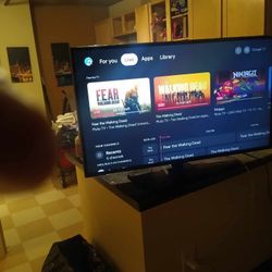 Lg 43 In Tv