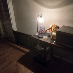 All New Incomes 38" Sonys