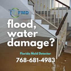 Flood - Water Damage  - Dryout 