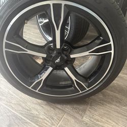 Mustang Tires And Rims 