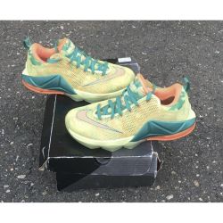 Nike LeBron 12 Low LeBronald Palmer 2015 9.5