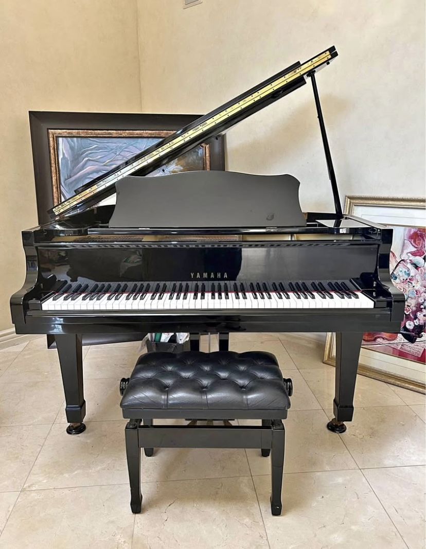 Baby Grand Piano 