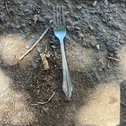 Special Limited Edition Antique Fork 