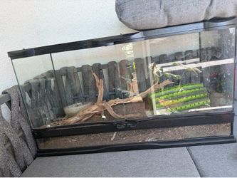 25 gallon snake tank