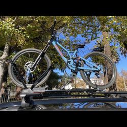 2019 Specialized Demo 29