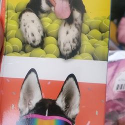 Dog Sunglasses Dog Goggles