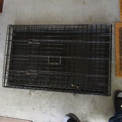 Kennel