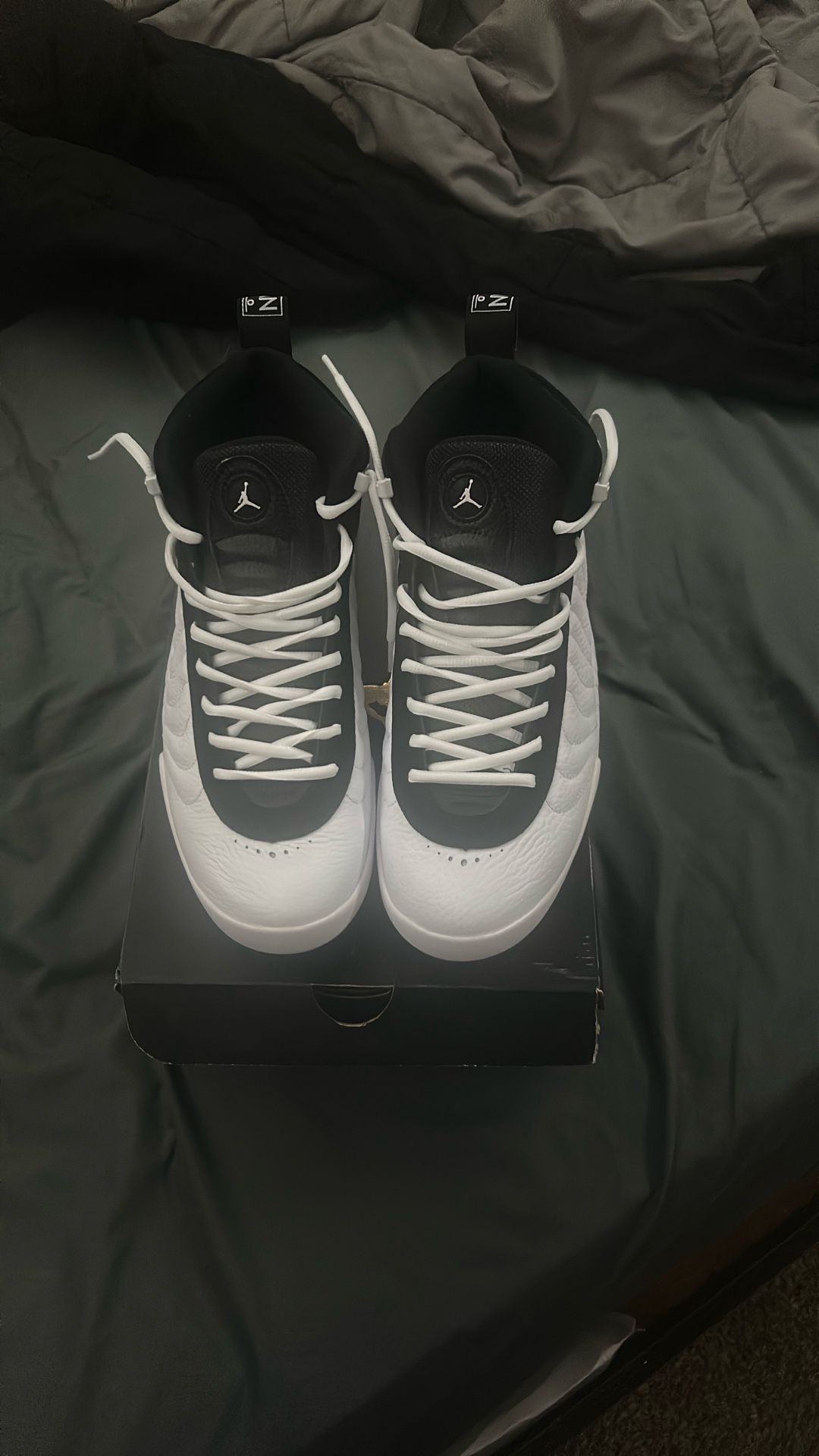Jordan Jumpman Pro 