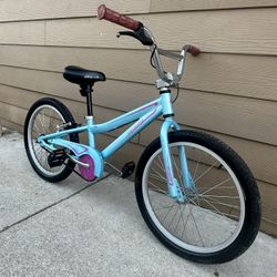 Aluminum Bike Spesialised Sz 20