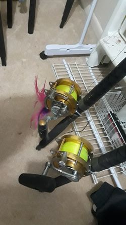 Fishing rods & reels