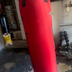 Everlast Punching Bag