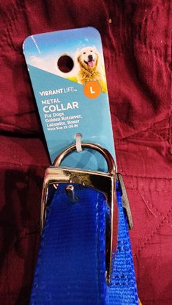 Vibrant Life Nylon Fashion Dog Collar, Blue, L