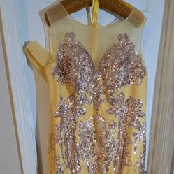 22W Dress Prom Or Celebration Dress Gold Tone With Sequence  Near CLAYTON/CRAIG 