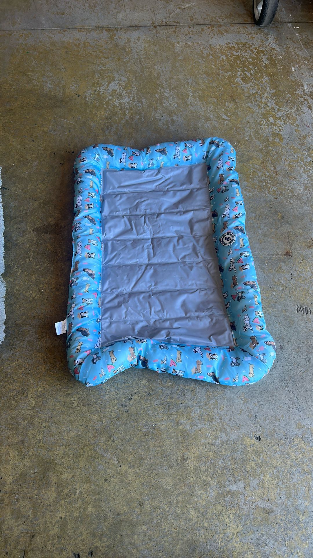 PET Bed 