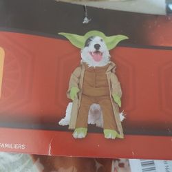 Large Dog Costume 