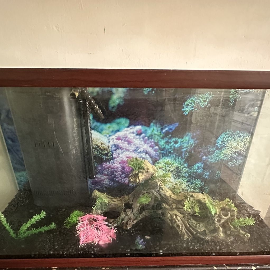 90 Gallon Fish Tank