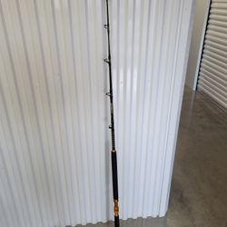 Fishing Rod