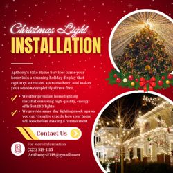 Christmas Light Deal ‼️