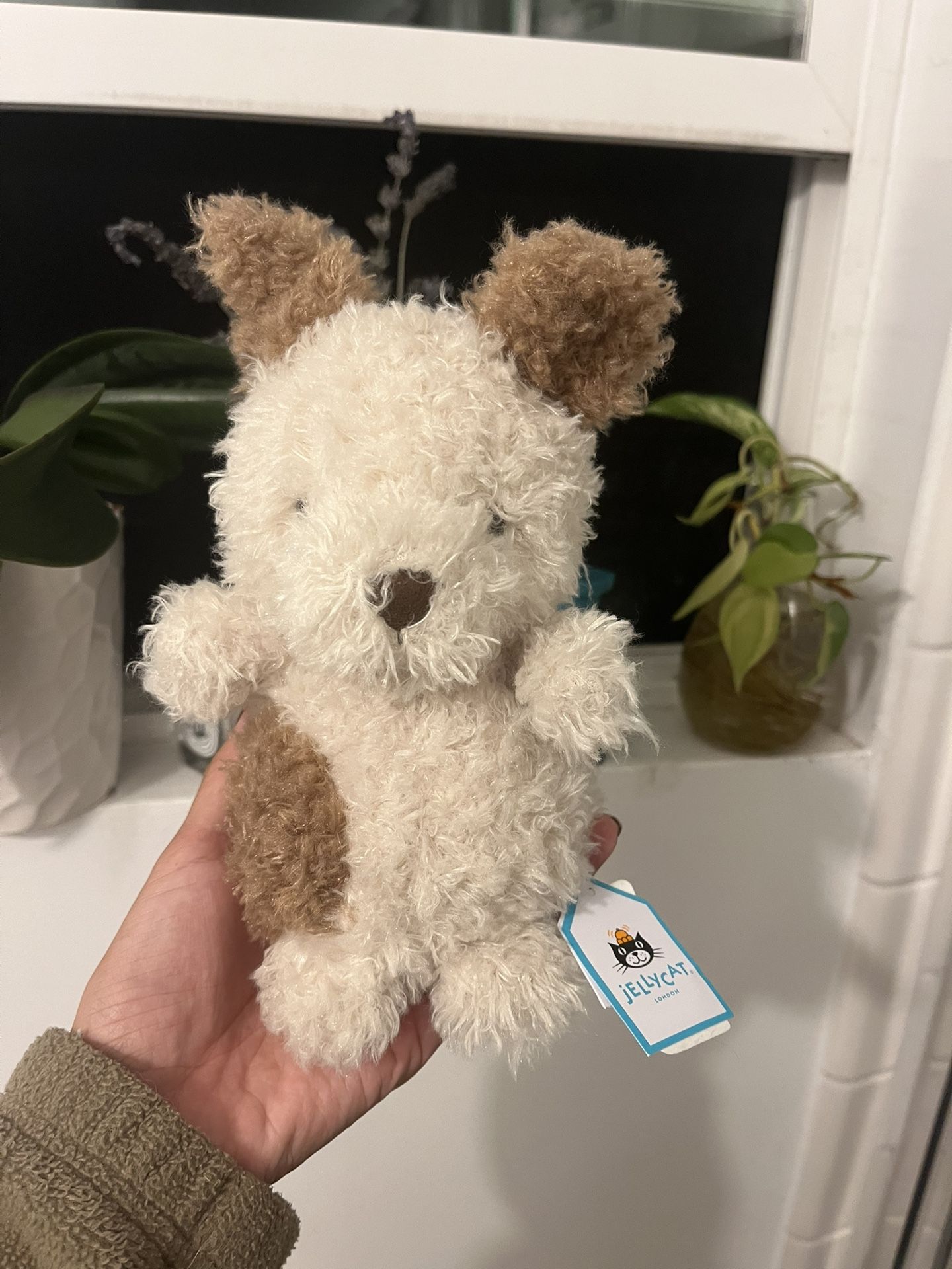 jellycat small little pup