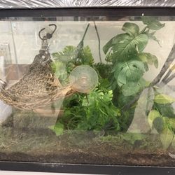 Gecko Habitat With Lid