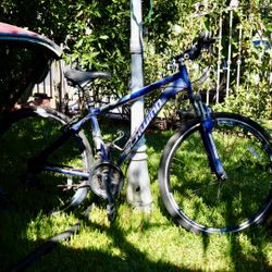 Schwinn bike