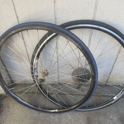 Fixie Bicycle Tires And Rims 