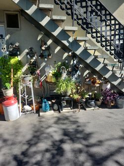 Saturday big sale!!!! Everything must go!!!!