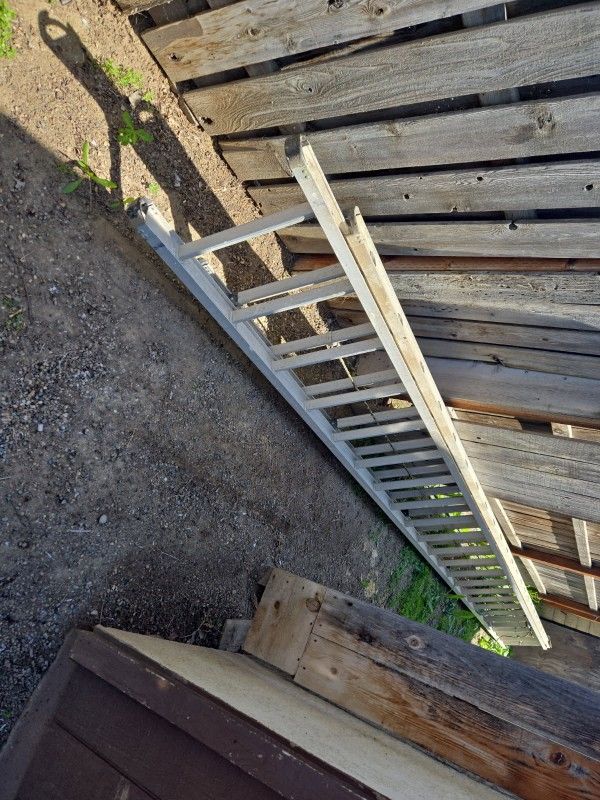Ladder