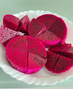 Dragon fruit plant