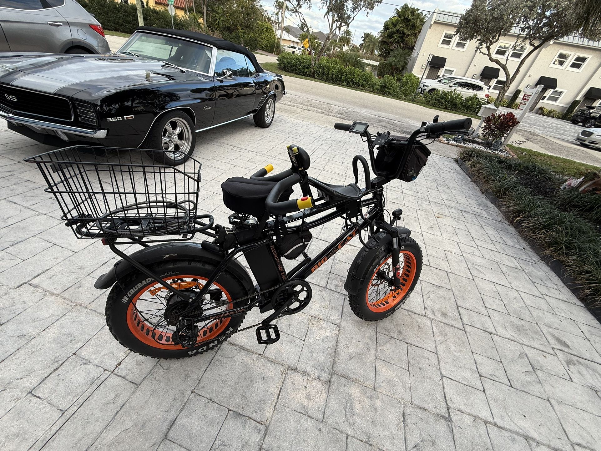 Big Cat Electric bike Mini Cat 750 XXL Fat tire For Sale 