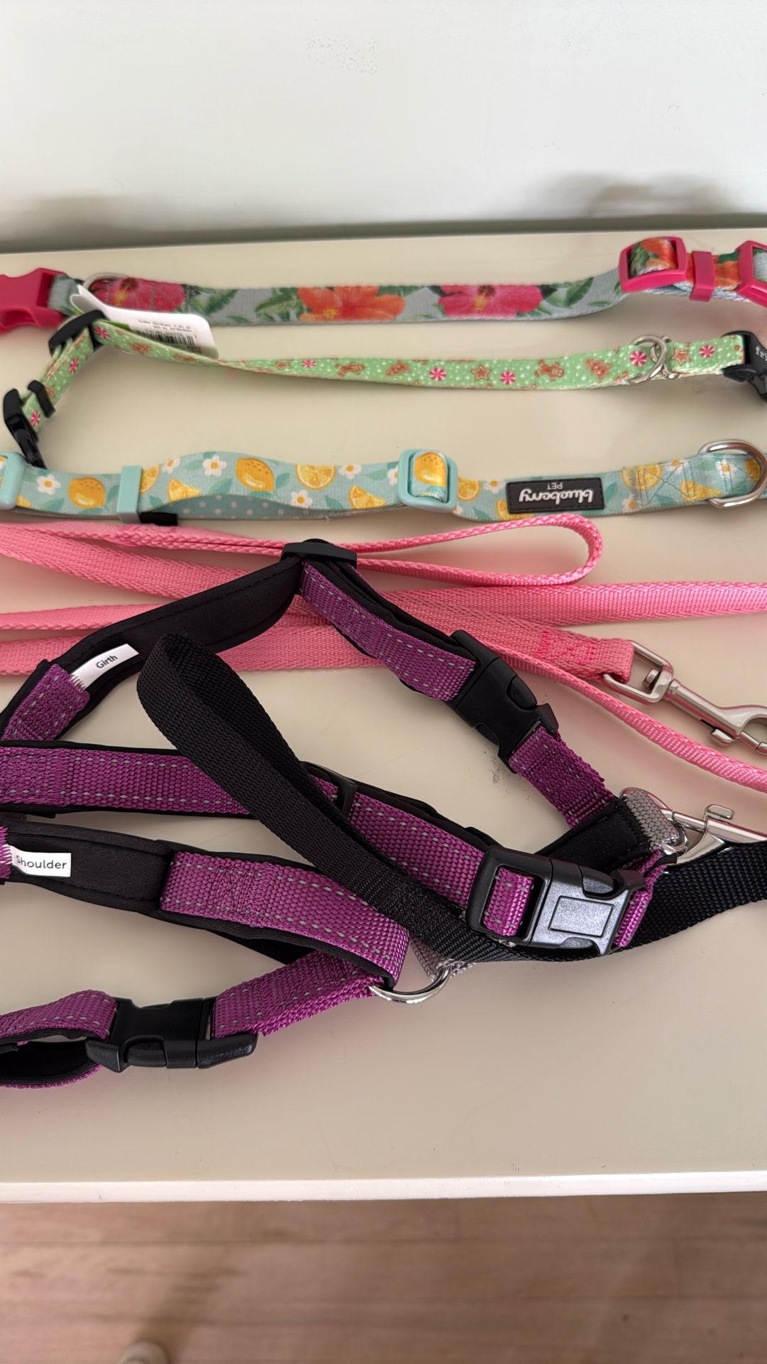 Miscellaneous Dog Collars/leash/harness
