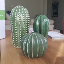 Decorative Decoration Set Of Three Cactuses