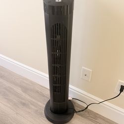 Floor Fan 