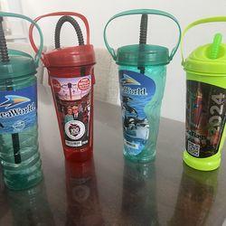Theme park bottles