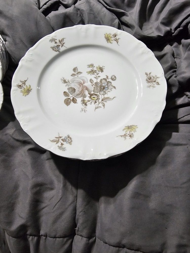 Winterling Schwarzenbach Bavaria Floral Set Of 8