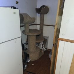 Cat Jungle Gym