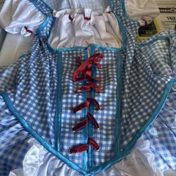 Dorthy Costume 15$