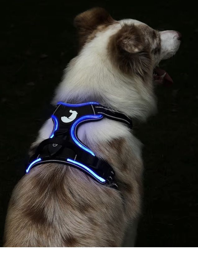 New Light Up Dog Harness. Medium