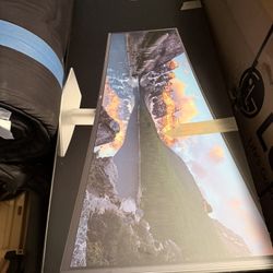 Computer Monitor- Dell 