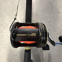 Fishing Rods Setup