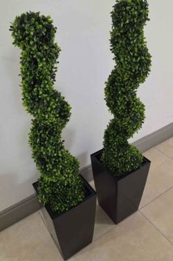 *** CLEARANCE *** PAIR of 3ft Faux Boxwood Spirals in 16in Black/White Planters (2 for $80) @ Lasting Creations